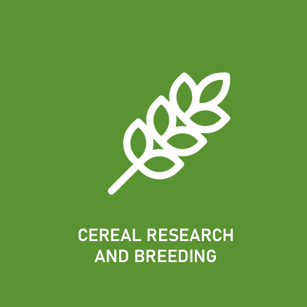 Cereal Research and Breeding